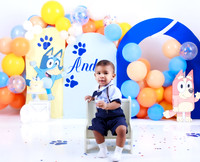 Ander-4